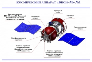 Схема Биона-М (federalspace.ru) Схема Биона-М (federalspace.ru)