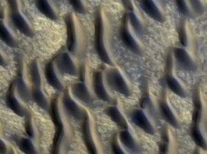 Изображение дюн в псевдоцветах (space.com)