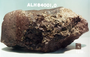 Метеорит ALH84001 (wikipedia.org) Метеорит ALH84001 (wikipedia.org)