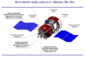 Схема Биона-М (federalspace.ru)