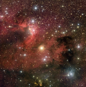 Скопление Cep OB3b (universetoday.com) Скопление Cep OB3b (universetoday.com)