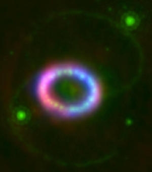 Составное изображение в разных длинах волн (sciencedaily.com) Составное изображение в разных длинах волн (sciencedaily.com)