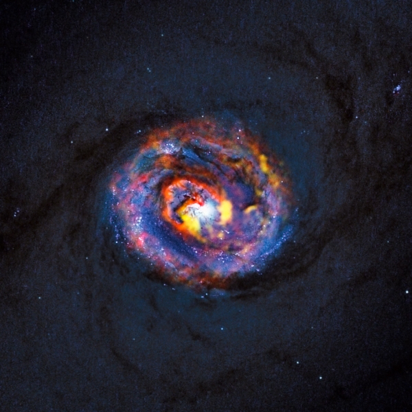 Снимок галактики NGC 1433 (eso.org)