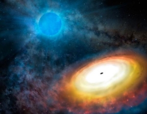 Рисунок дыры около звезды (phys.org) Рисунок дыры около звезды (phys.org)