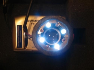 Простая камера и светодиоды - источники света (phys.org)