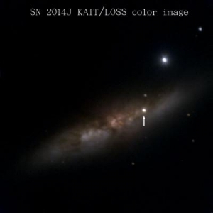 Ранний снимок сверхновой (phys.org) Ранний снимок сверхновой (phys.org)