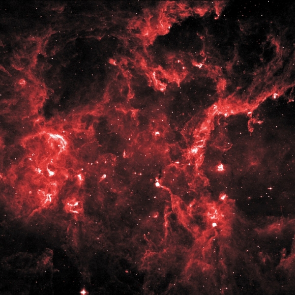 Инфракрасное изображение региона Лебедь. Яркие точки - места образования звезд (nasa.gov)
